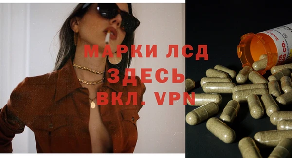 ПСИЛОЦИБИНОВЫЕ ГРИБЫ Волосово