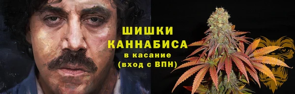 ПСИЛОЦИБИНОВЫЕ ГРИБЫ Волосово