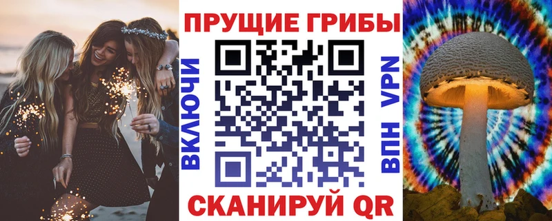 Галлюциногенные грибы мицелий  это формула  Камень-на-Оби  купить  